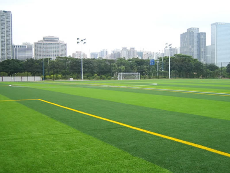 足球场草坪特性